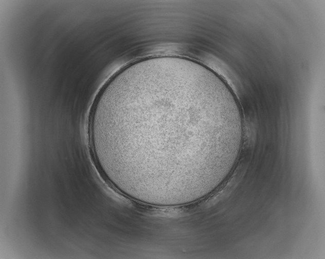 X0000111941090200908171252