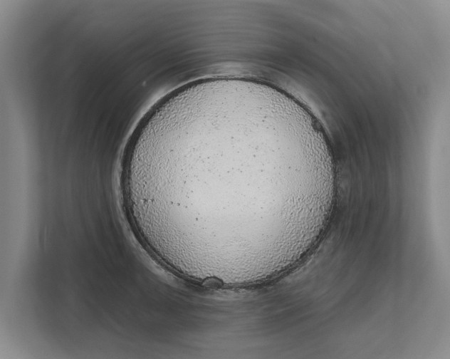 X0000111941091200908171252