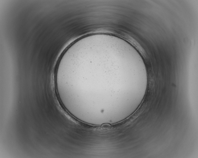 X0000111941092200908171252