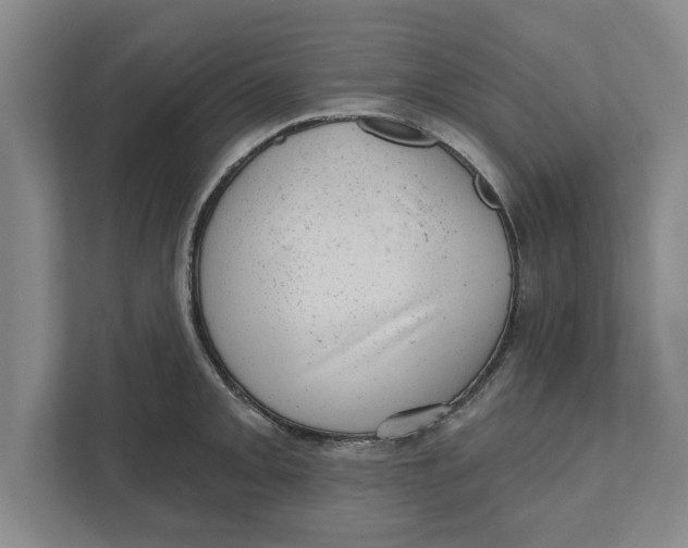 X0000111941093200908171252