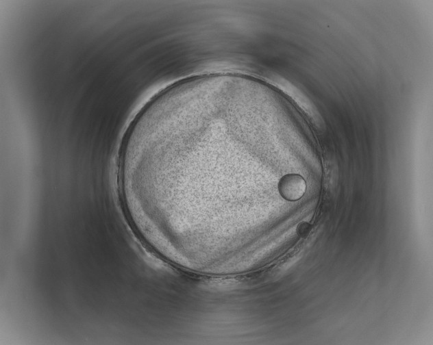 X0000111941094200908171252