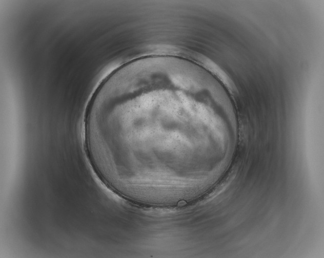 X0000111941095200908171252