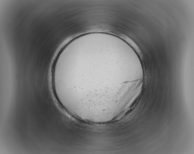 X0000111941096200908171252