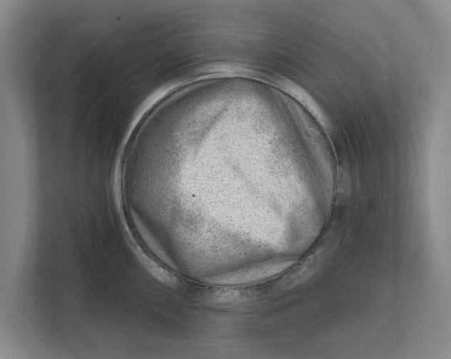 X0000111941098200908171252