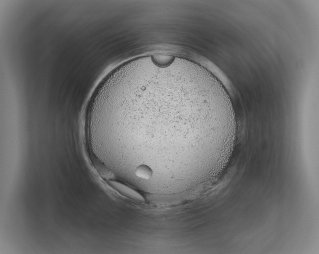 X0000111941099200908171252