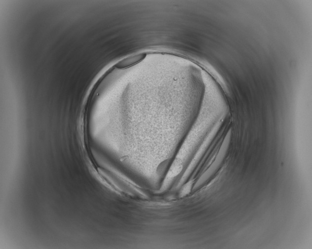 X0000111941100200908171252