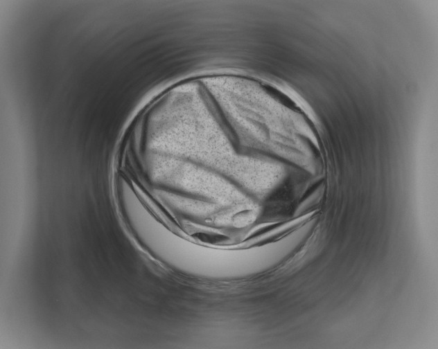 X0000111941101200908171252