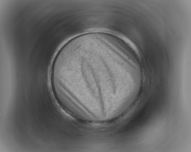 X0000111941102200908171252