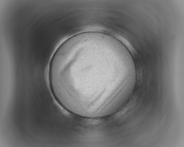 X0000111941103200908171252