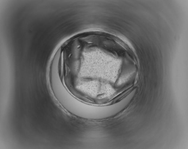 X0000111941104200908171252