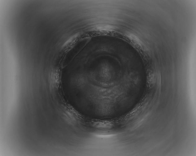 X0000111941110200908171251