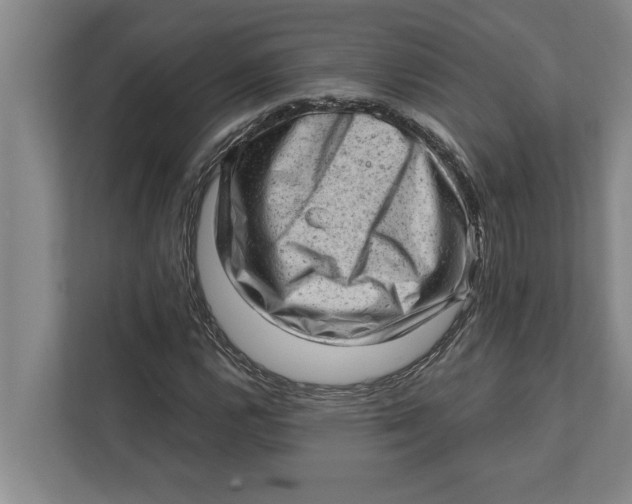 X0000111941112200908171251