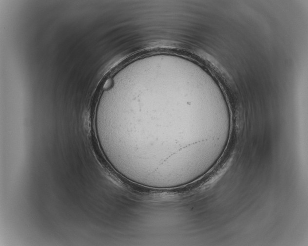 X0000111941113200908171251