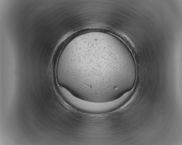 X0000111941114200908171251