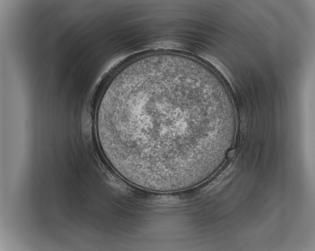 X0000111941115200908171251