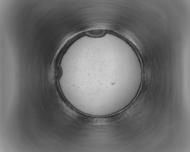 X0000111941116200908171251