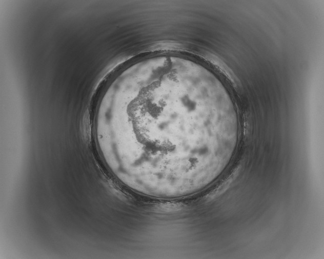 X0000111941117200908171251