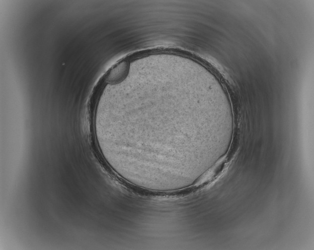 X0000111941118200908171251