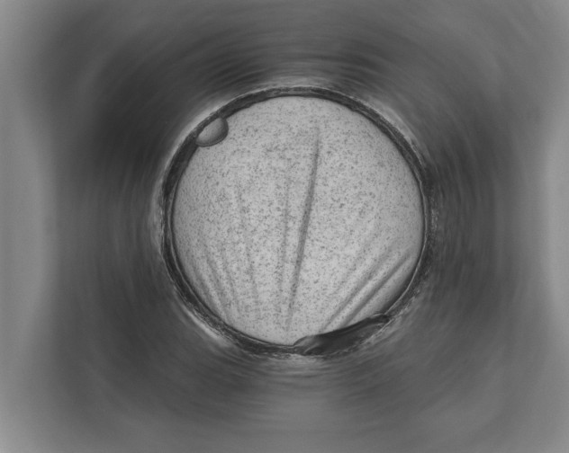 X0000111941119200908171251