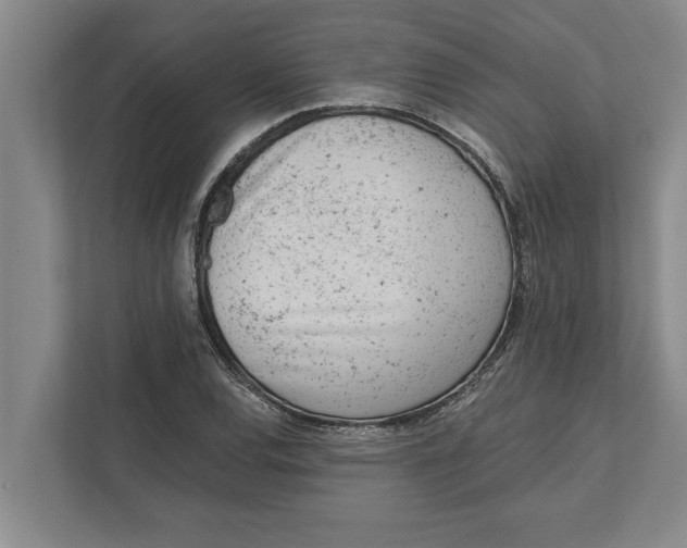 X0000111941120200908171251