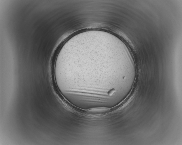 X0000111941122200908171251