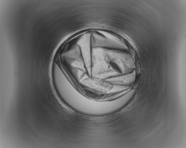 X0000111941128200908171251