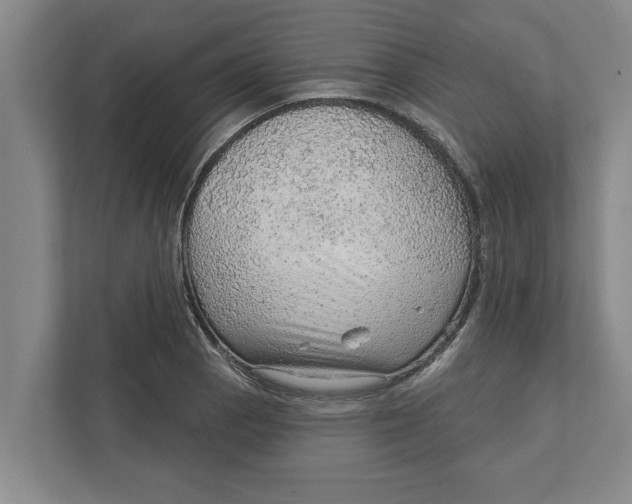 X0000111941129200908171251