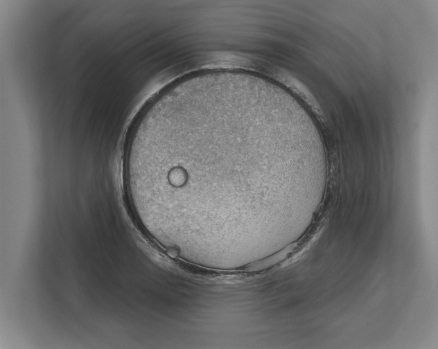 X0000111941130200908171251