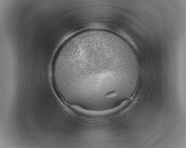 X0000111941133200908171251