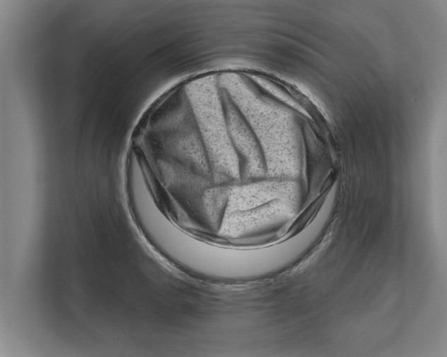 X0000111941134200908171251