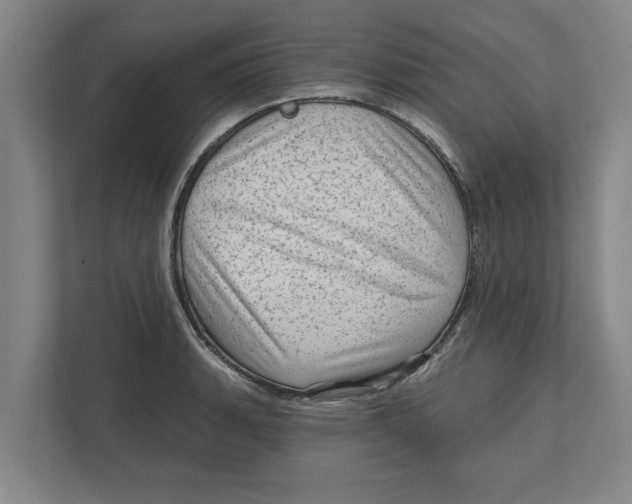 X0000111941135200908171251