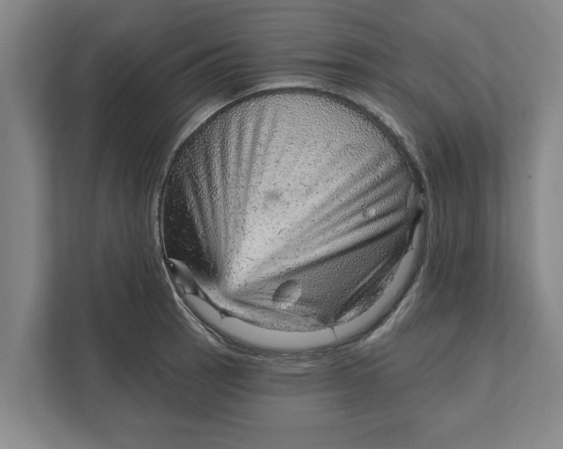 X0000111941137200908171251