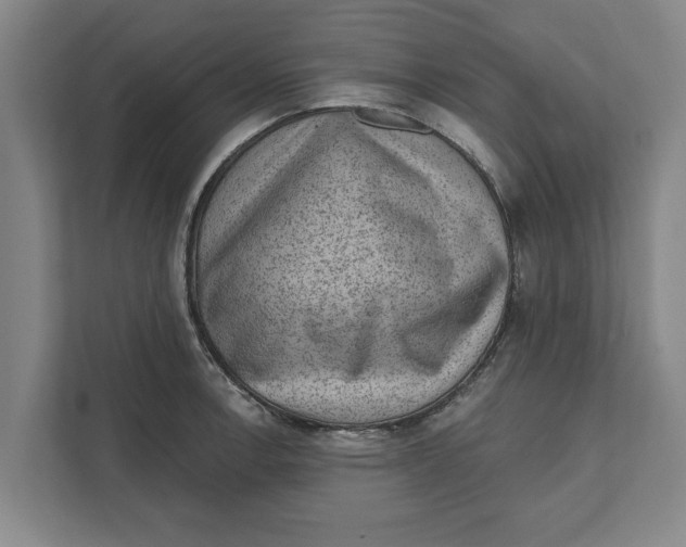 X0000111941138200908171252