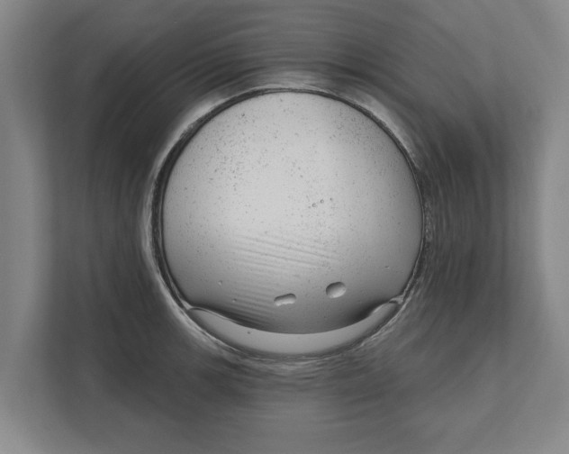 X0000111941139200908171252