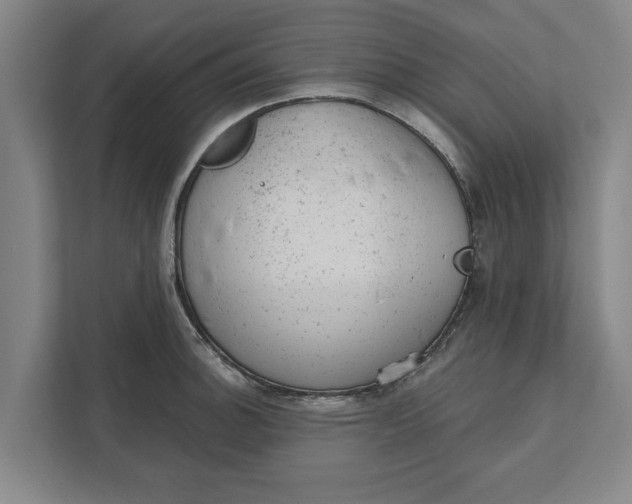 X0000111941140200908171252