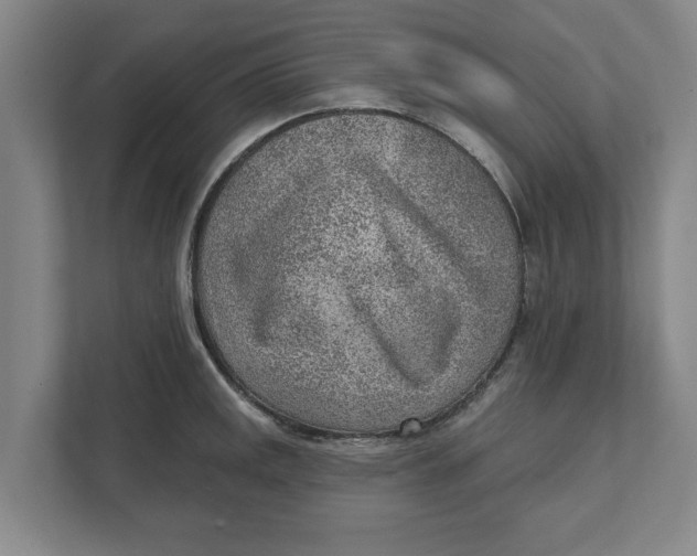 X0000111941141200908171252