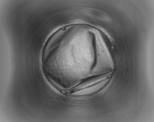 X0000111941142200908171252