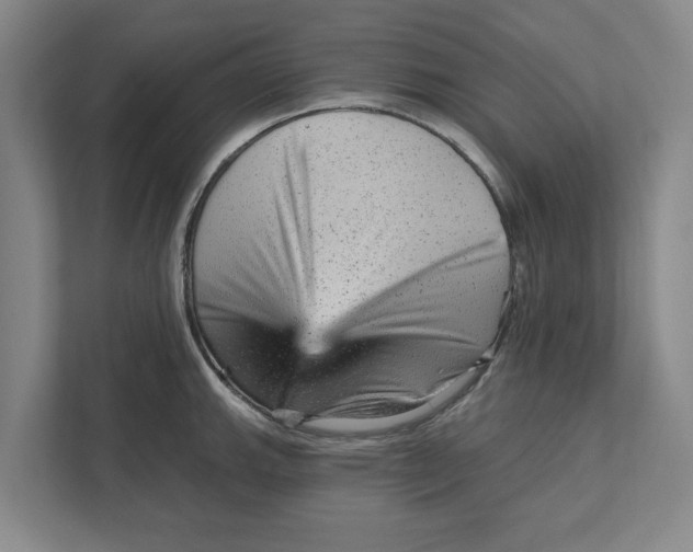 X0000111941143200908171252