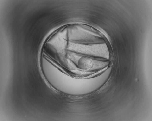 X0000111941144200908171252