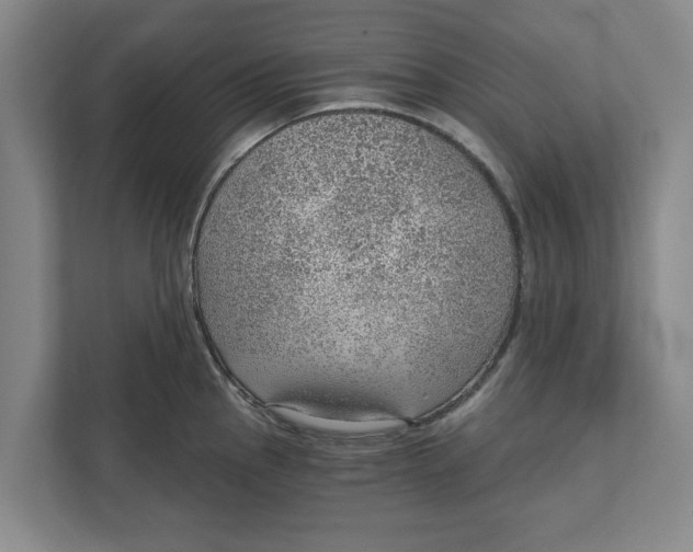 X0000111941145200908171252