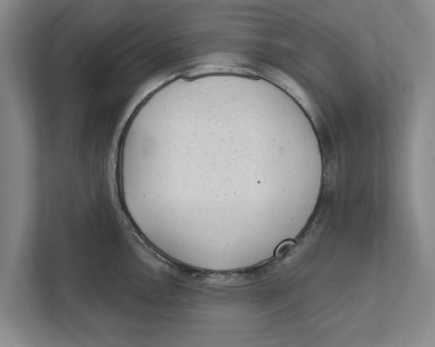 X0000111941146200908171252