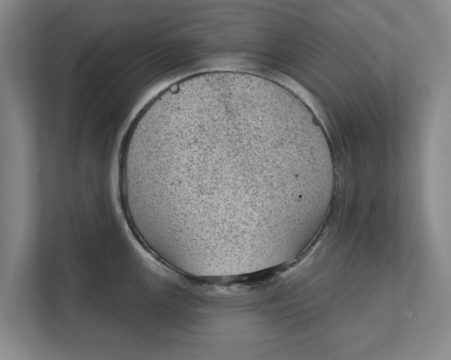 X0000111941147200908171252