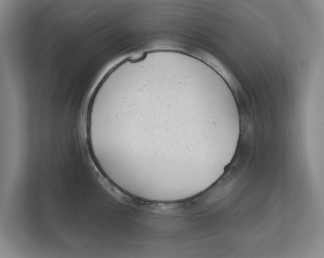 X0000111941148200908171252