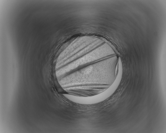 X0000111941153200908171251