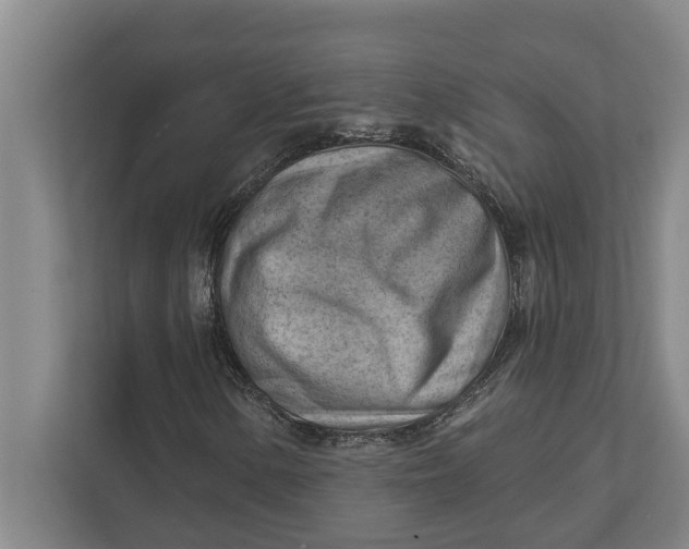 X0000111941154200908171251