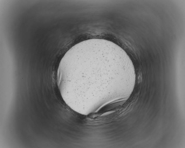 X0000111941156200908171251