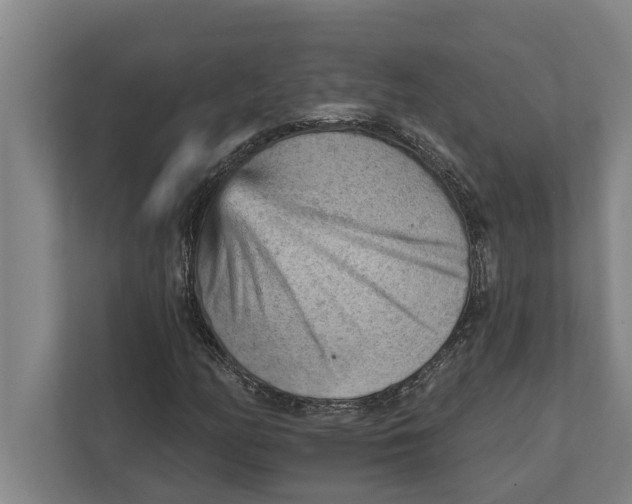 X0000111941158200908171251