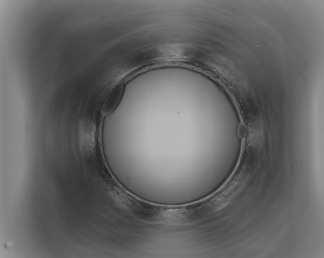 X0000111941161200908171251