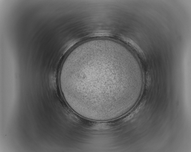 X0000111941162200908171251