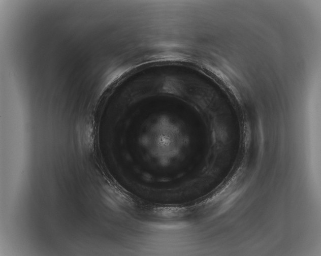 X0000111941163200908171251